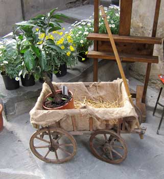 antiquariato: Old wheelbarrow in wood