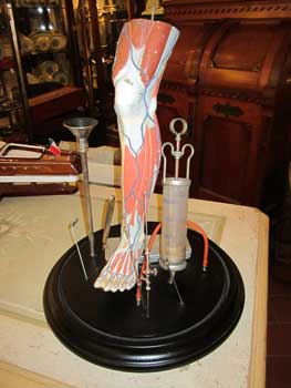 antiquariato: Theca with a leg and some medical instruments