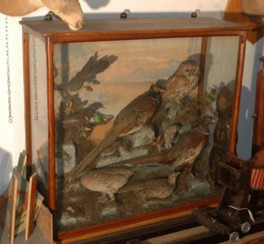 antiquariato: Old tank in wood, with birds