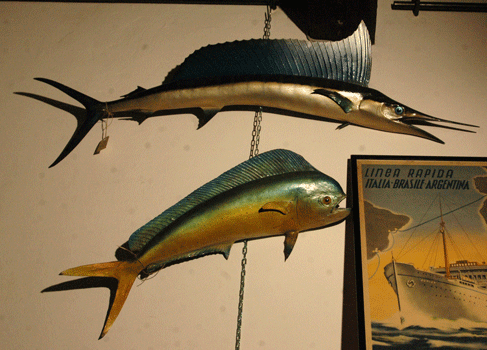 antiquariato: Wood fishes, painted